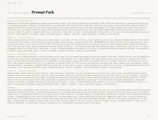 Page 21: Quiet Precision · Prompt Pack