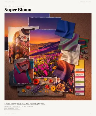 Super Bloom mood board — Colour After Dark, SS28 men's knitwear trend direction